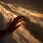 AniAlya